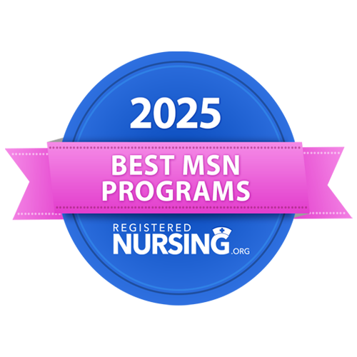 Best MSN Programs 2025 badge