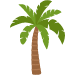 palm tree icon