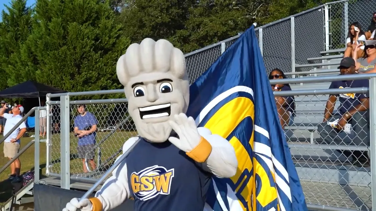 Surge holding flag
