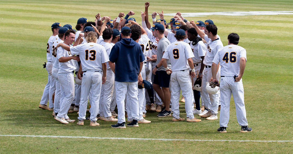 baseball team huddles and cheers