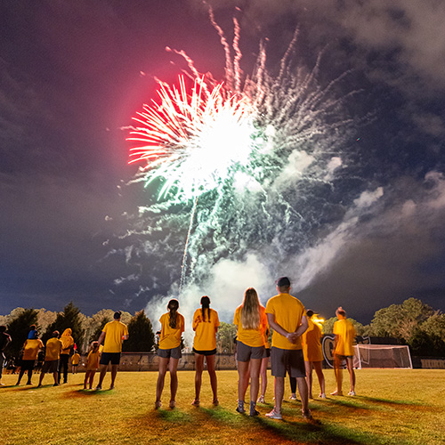 people watch fireworks