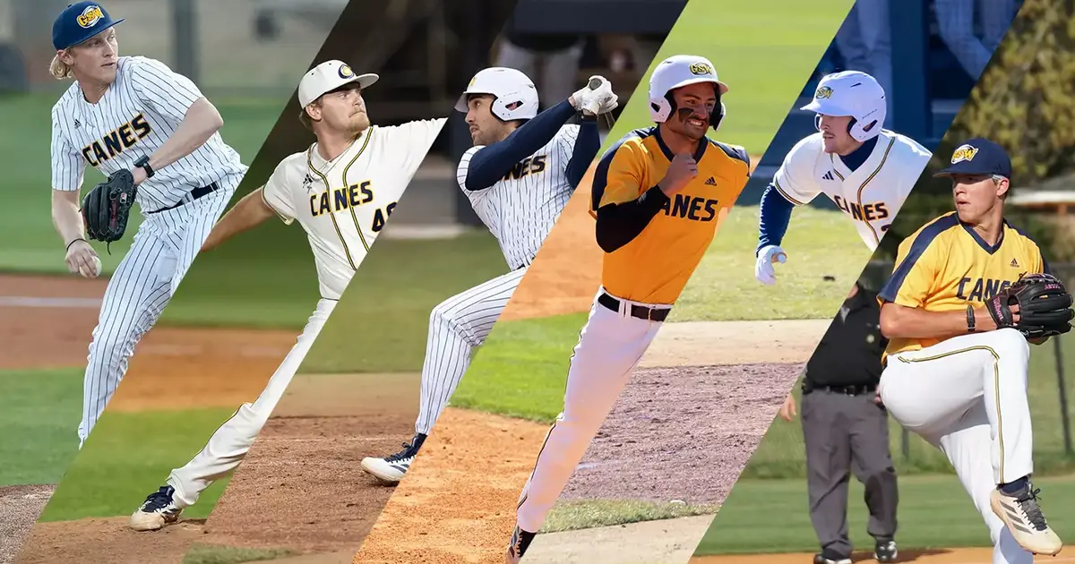 collage of baseball action shots