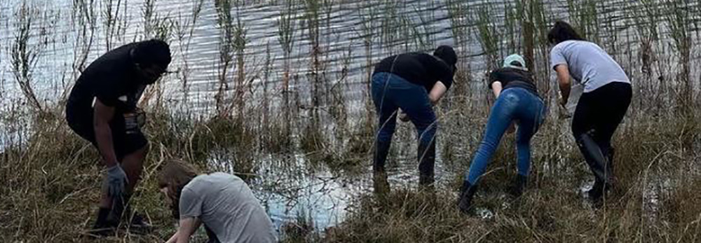 students look for specimens near water