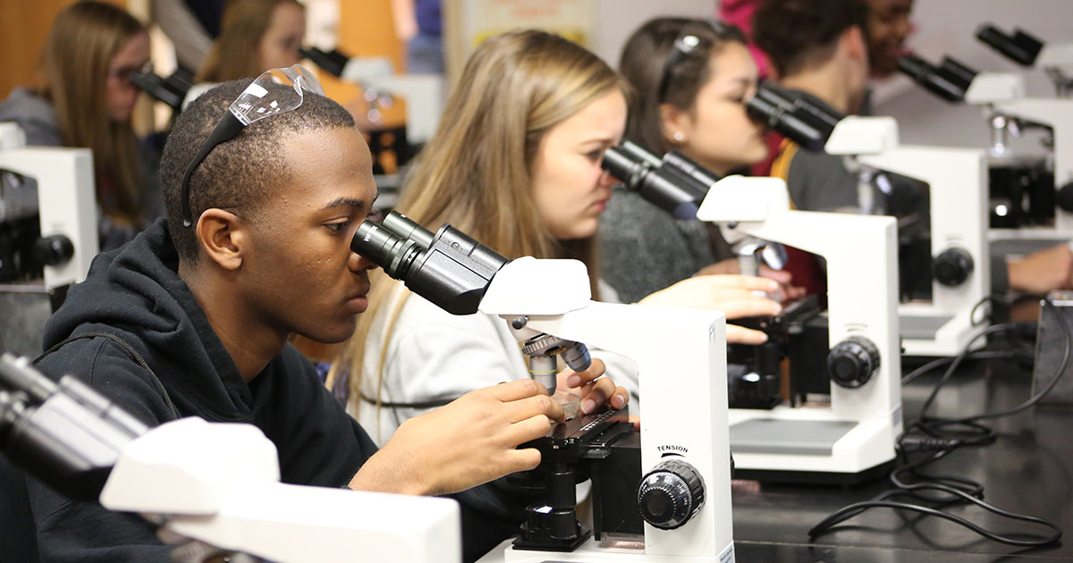 students look into microscopes